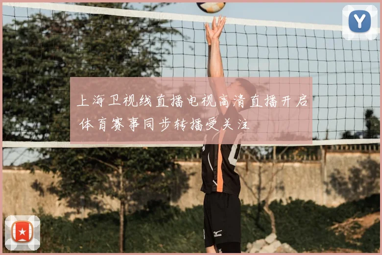 上海卫视线直播电视高清直播开启 体育赛事同步转播受关注