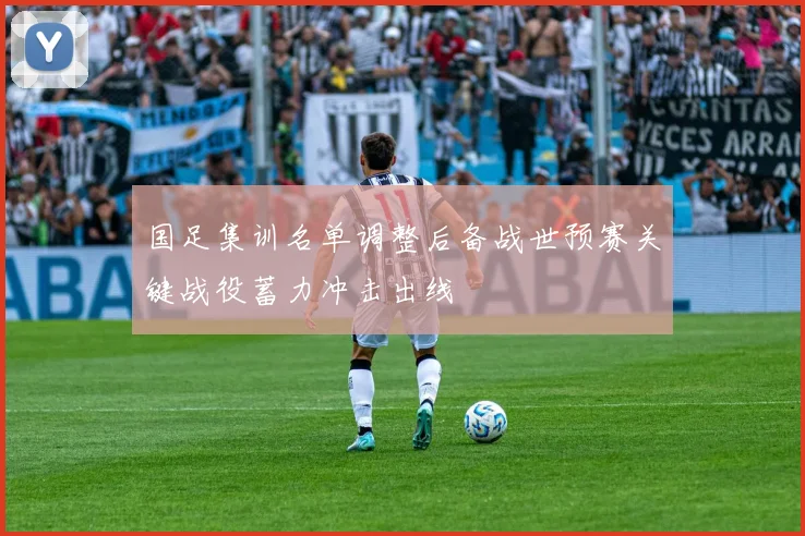 国足集训名单调整后备战世预赛关键战役蓄力冲击出线